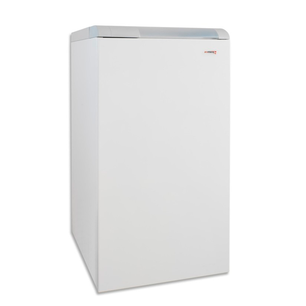 Купить Газовый Котел Protherm Медведь