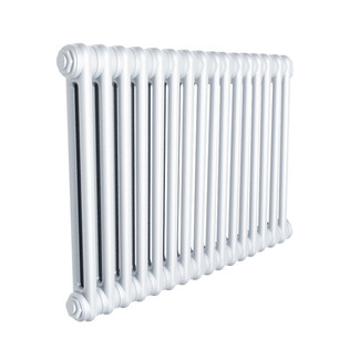 Стальной трубчатый радиатор IRSAP TESI/2 565 EL16 CL.01 T25